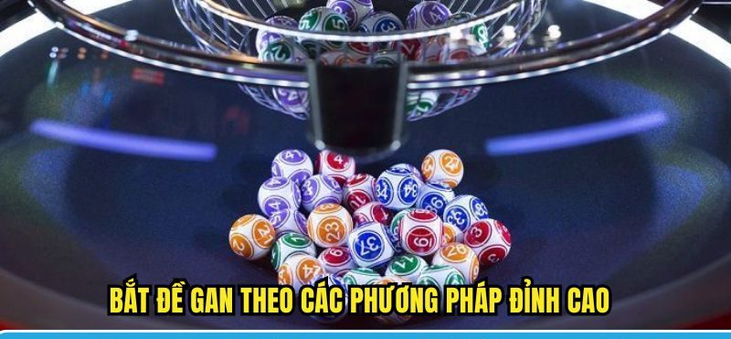 Bắt đề gan theo các phương pháp đỉnh cao Bắt đề gan theo các phương pháp đỉnh cao